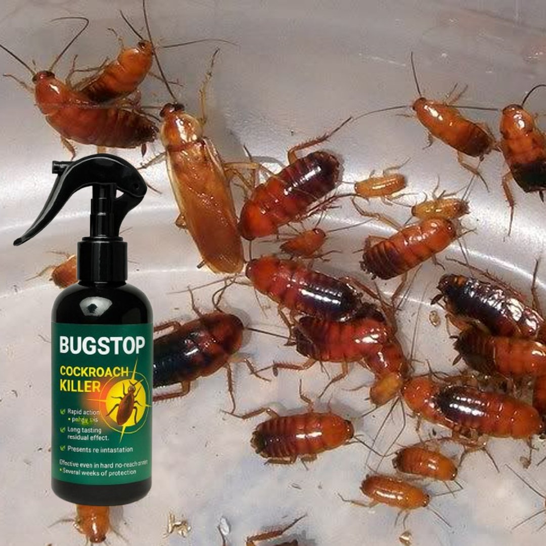 BugStop – спрей від тарганів